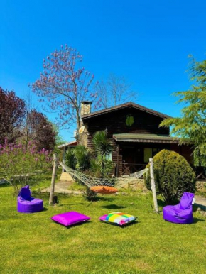 Agva Secret Yard Log Villa, On The River Bank!